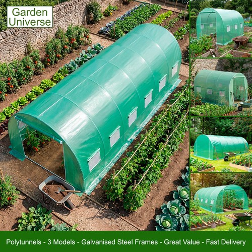 Garden universe polytunnel - universe,