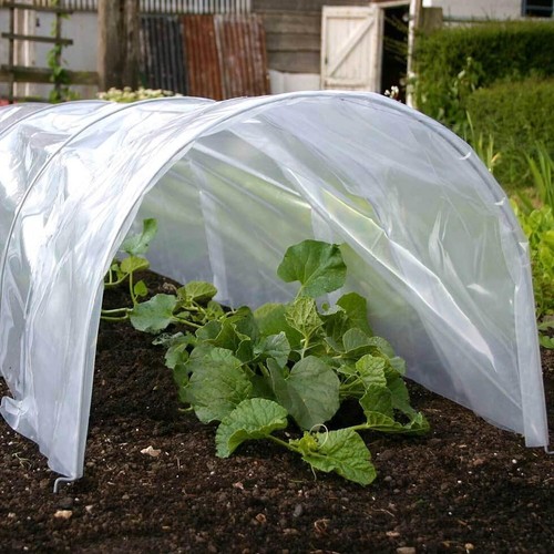 Poly tunnel cloche - 1-2-3-6,
